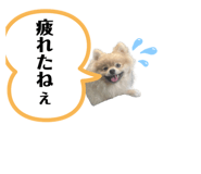 786500602