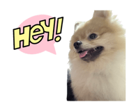 786500603