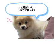786500604