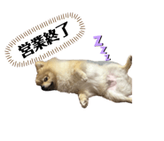 786500606