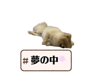 786500608