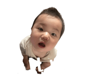 786506088