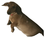 786520286
