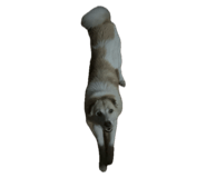 786520290