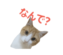 786530500