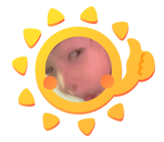 786548664