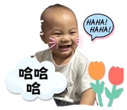 786550247