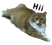 786550786