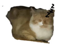 786550790
