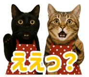 786556712