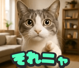 786557620