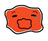 786560254
