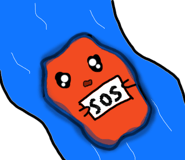 786560275