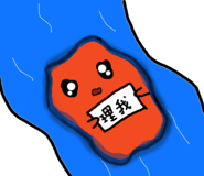 786560276