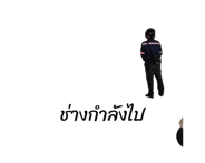786574618