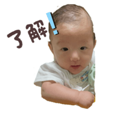 786577126