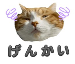 786589250