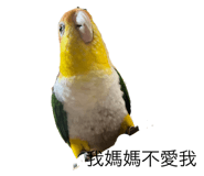 786604468