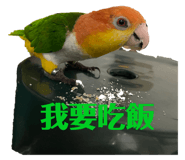 786604475