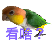 786604476
