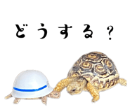 786608312