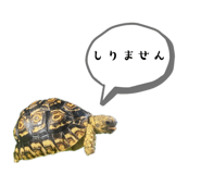 786608319
