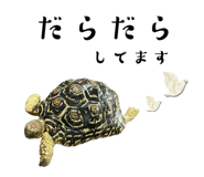 786608326