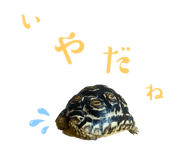 786608327