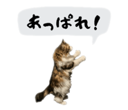 786620133