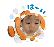 786634871