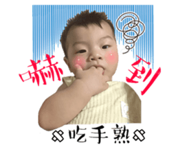 78665500