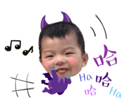 78665504