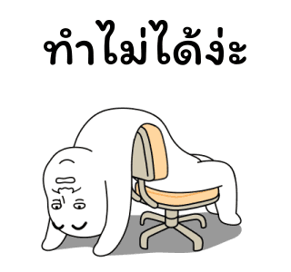 ลายที่ 23