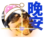 786685363