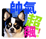 786685366
