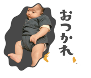786690279