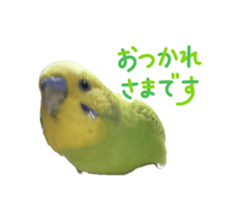 786701228
