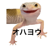 786701665
