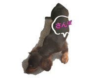 786731620