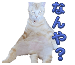 786734381