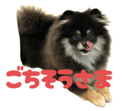 786749692