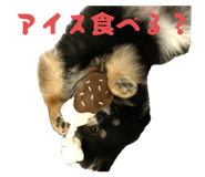 786749695