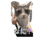 786763635