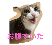 786763639