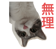 786763640