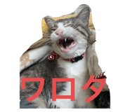 786763644
