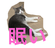 786763648