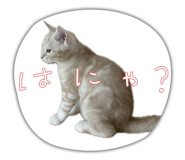 786767901