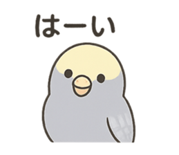 786768458