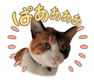 786771101